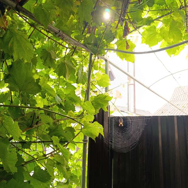 Weather forecasts with beautiful photos by Leksi_lois