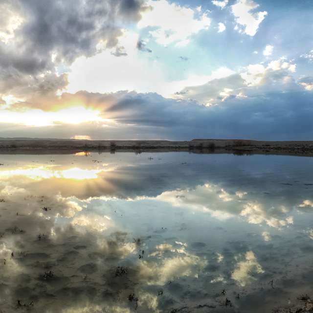 авион. Временске прогнозе са прелепим фотографијама од nox-а фотографије у Miandasht Wildlife Refuge