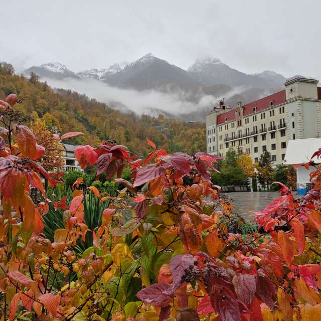 天气预报，带Albert_Smelovtsev精美的照片