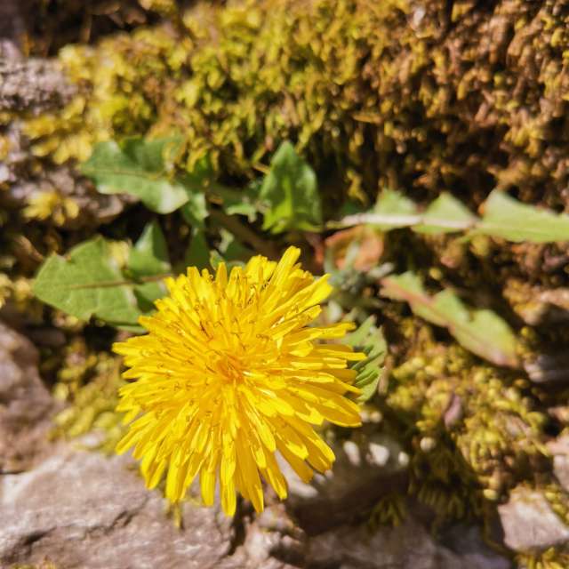 Stehen. Wettervorhersagen mit schönen Fotos von Albert_Smelovtsev Fotos Roza Khutor