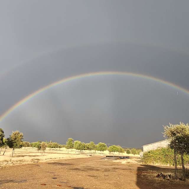 Wettervorhersagen mit schönen Fotos von ILIE