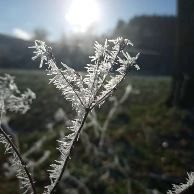 Прогнозы погоды с чудесными фотографиями, сделанными Fredy_Hiker