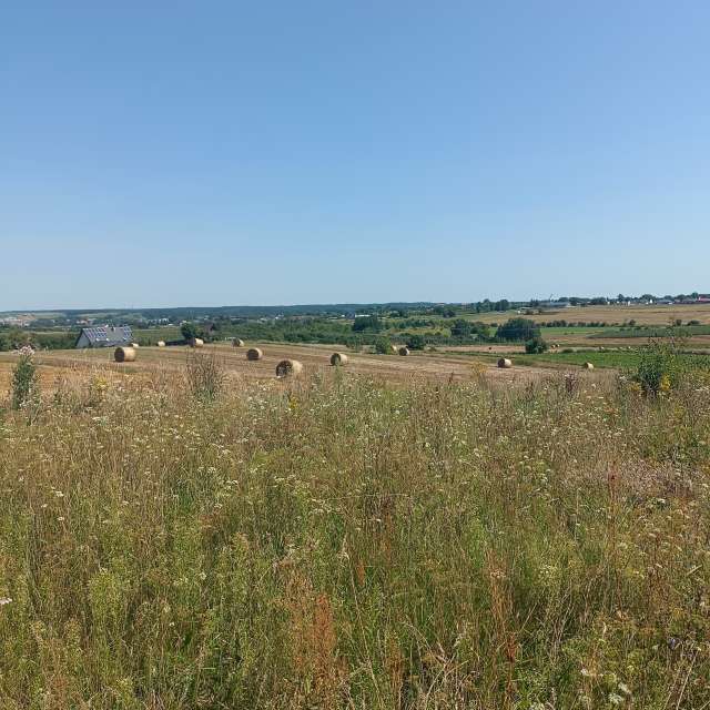 Ania-12の美しい写真による天気予報