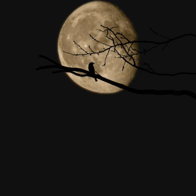 Alexxabrの美しい写真による天気予報