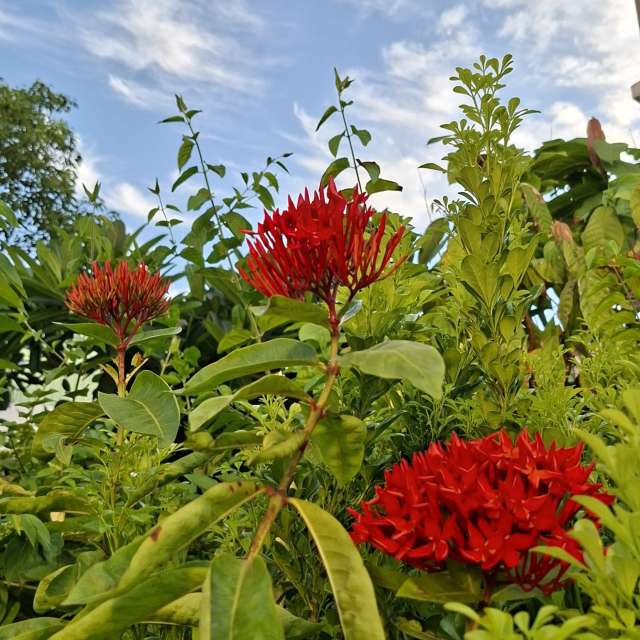 Board. Weather forecasts with beautiful photos by Wen-ya Huang Photos in Kaohsiung City