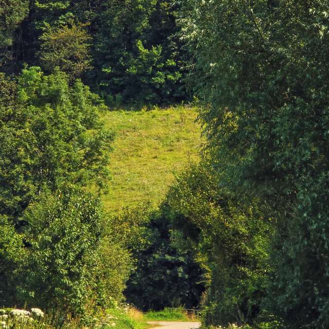 Pronósticos del tiempo con hermosas fotos de TylerDurden