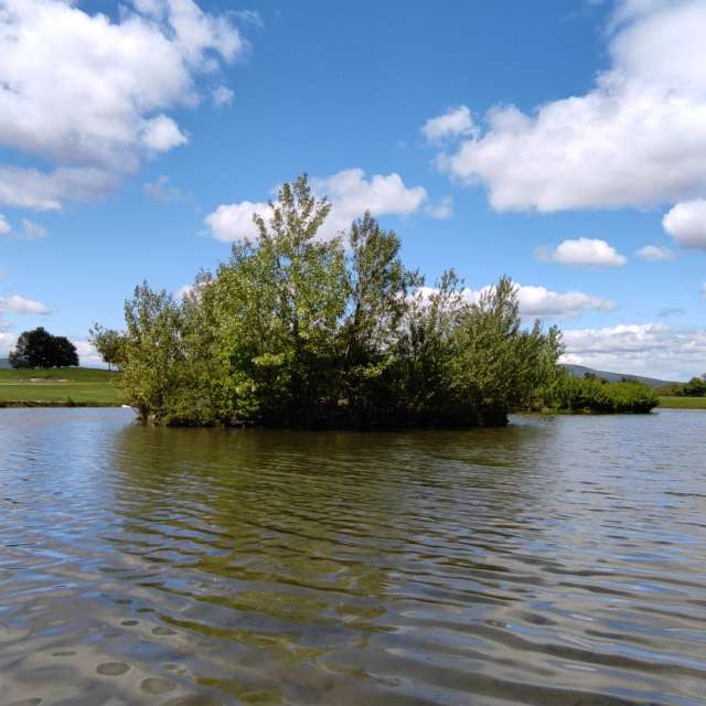 Ufer. Wettervorhersagen mit schönen Fotos von Kripo Fotos Niederösterreich