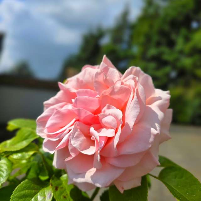 Clear. Weather forecasts with beautiful photos by Seni Photos in Velbert