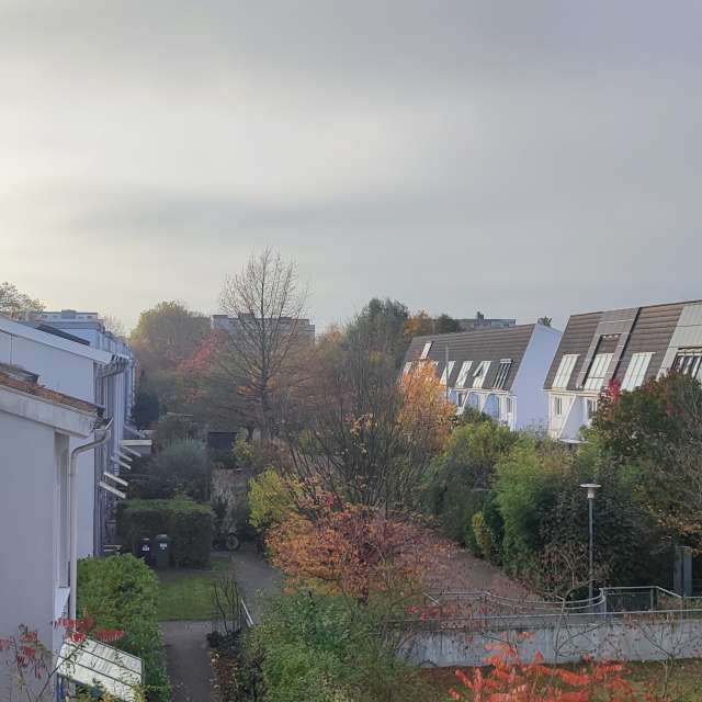 Railway. Weather forecasts with beautiful photos by Tercis Photos in Ettlingen