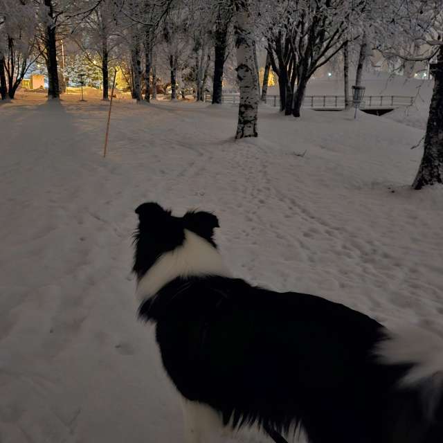 Previsões do tempo com lindas fotos de Piia