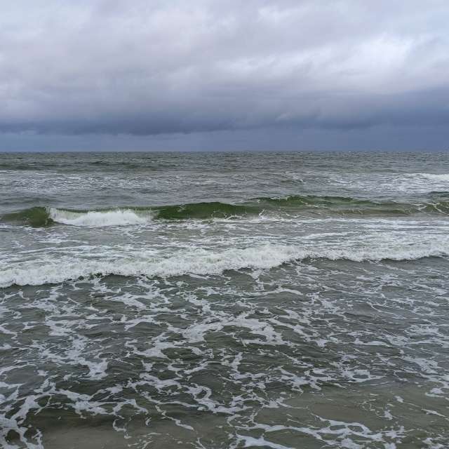 Fotos Corpo. Previsões do tempo com lindas fotos de Михаил Бондаренко em Pionerskiy