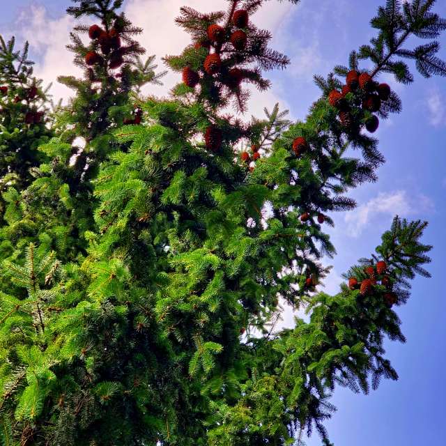 Clock. Weather forecasts with beautiful photos by Seni Photos in Velbert