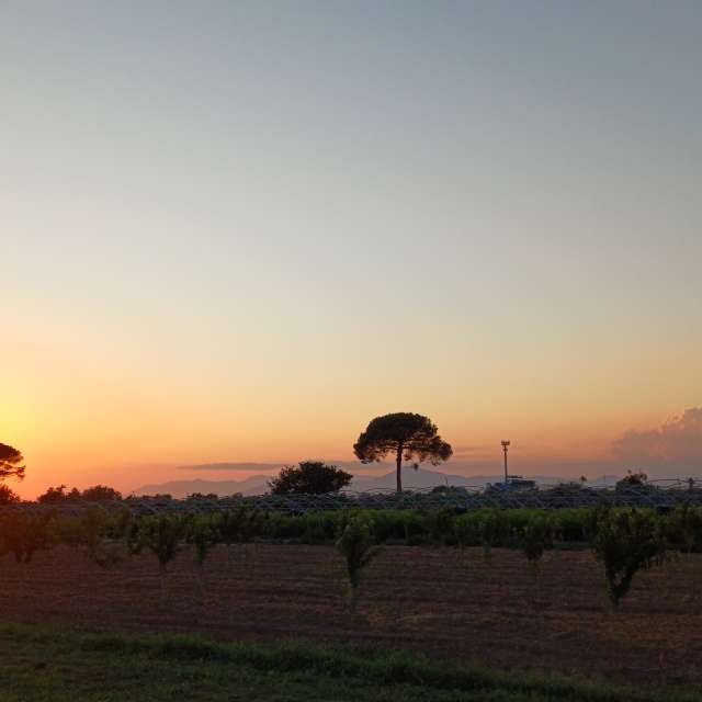 Weather forecasts with beautiful photos by Ermanno