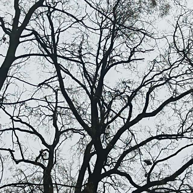 Fotos del Frente. Pronósticos del tiempo con hermosas fotos de YanBog en București