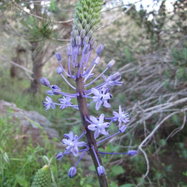 Eating. Weather forecasts with beautiful photos by Sviatoslav Photos in World