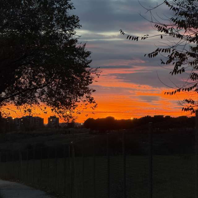 天气预报，带Knopfler83精美的照片