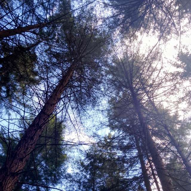 Glasmanの美しい写真による天気予報