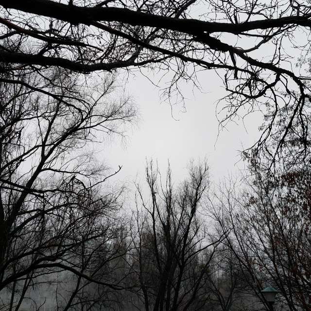 Gray. Weather forecasts with beautiful photos by Iryna Photos in Kharkiv