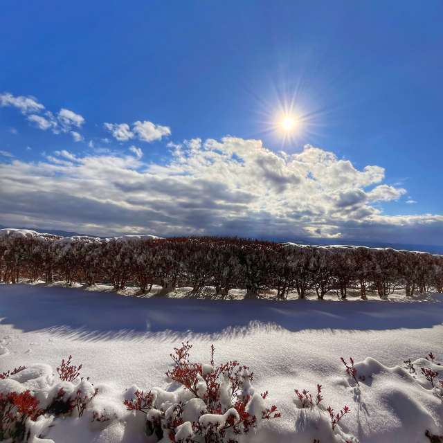 Group. Weather forecasts with beautiful photos by Kasumisou Photos in Saku-shi