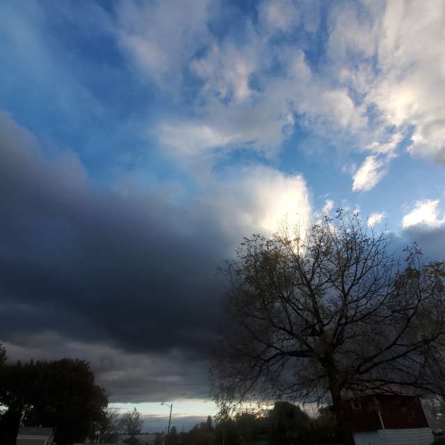 天气预报，带Zim Lotsa精美的照片