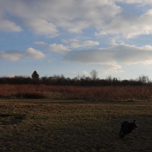 Fotos Grama. Previsões do tempo com lindas fotos de Vasek325 em Praha 4