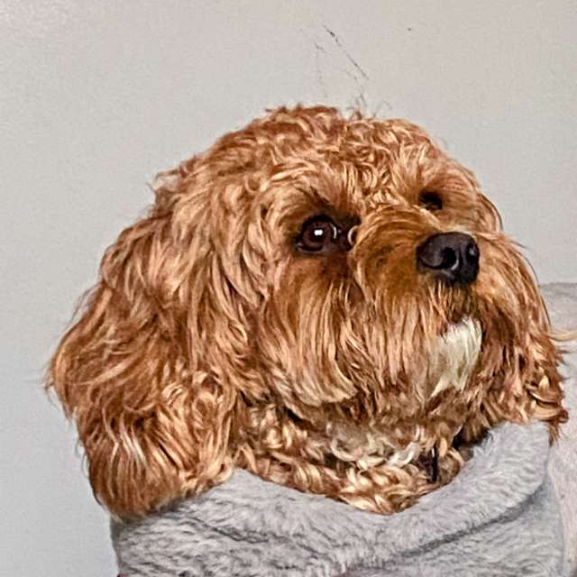 Pronósticos del tiempo con hermosas fotos de Lulu5523