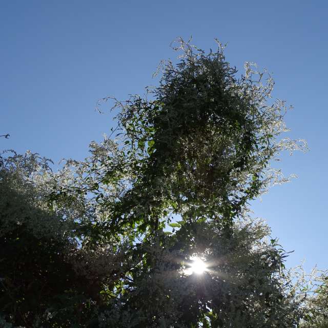 Fotos Grande. Previsões do tempo com lindas fotos de Vasek325 em Praha 4