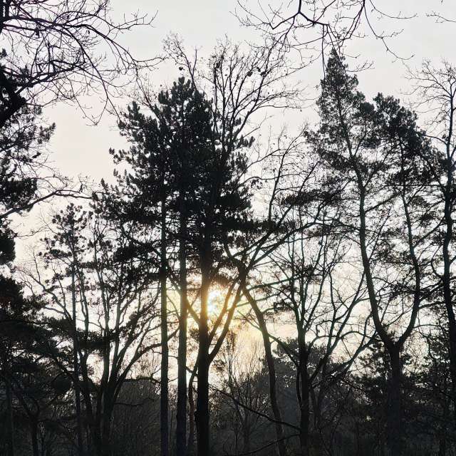 天气预报，带Gaucho精美的照片