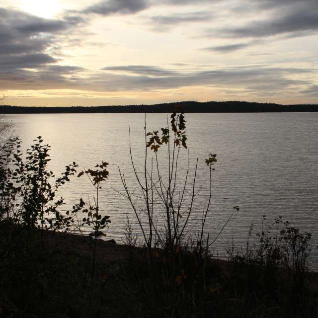 Weather forecasts with beautiful photos by urubu