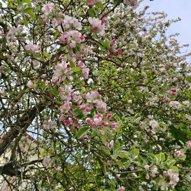 Fotos Azul. Previsões do tempo com lindas fotos de Михаил Бондаренко em Pionerskiy