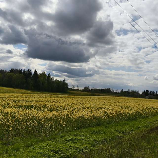 Hintergrund. Wettervorhersagen mit schönen Fotos von Valiukas Fotos Litauen