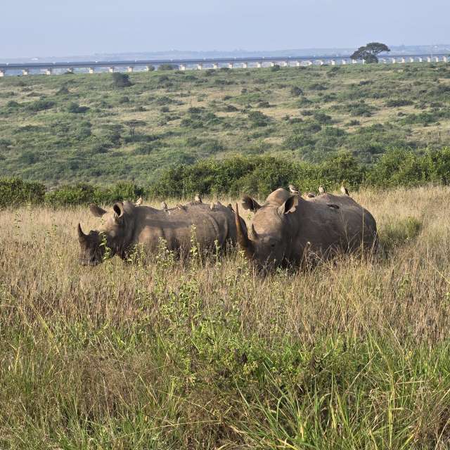 Pronósticos del tiempo con hermosas fotos de Birdy25
