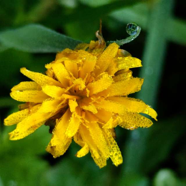 Anamarijaの美しい写真による天気予報