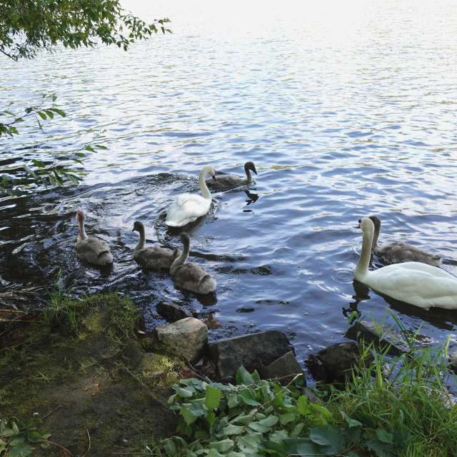Fotos Rio. Previsões do tempo com lindas fotos de Vasek325 em Praha 12