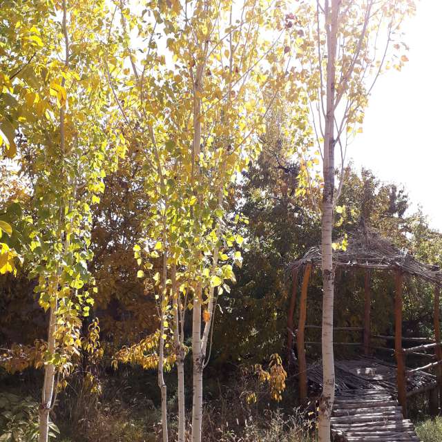 Pronósticos del tiempo con hermosas fotos de miladzee