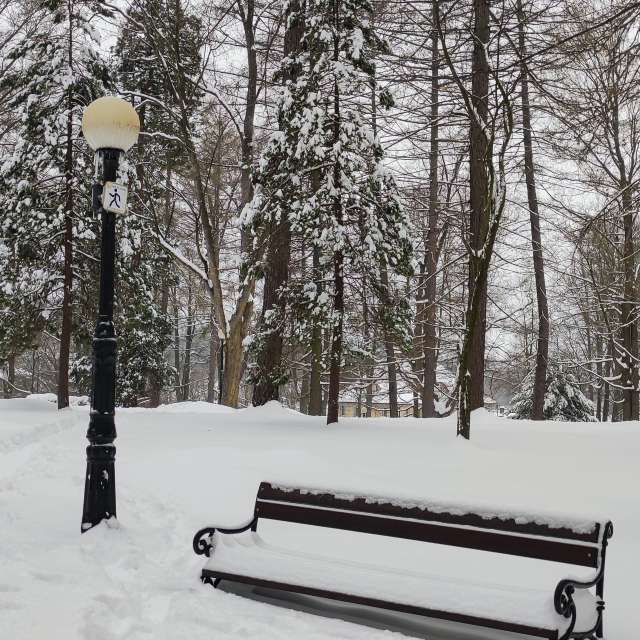 Park. Wettervorhersagen mit schönen Fotos von Kripo Fotos Ladek Zdroj