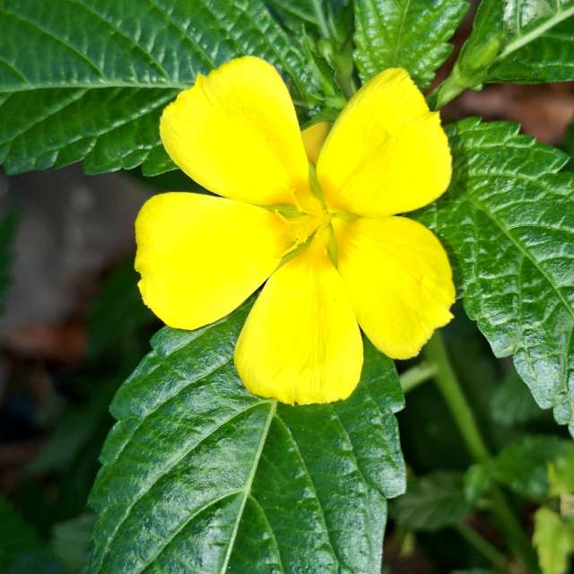 Fotos Sujeira. Previsões do tempo com lindas fotos de Wen-ya Huang em Kaohsiung City