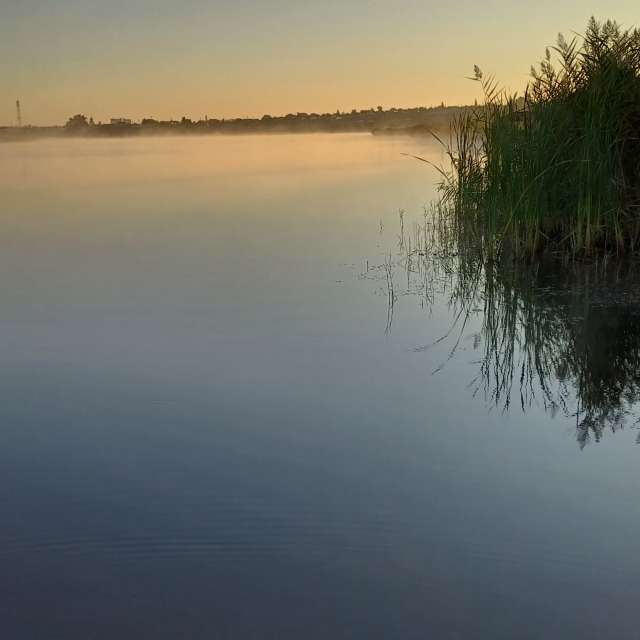 Weather forecasts with beautiful photos by vic74furt762