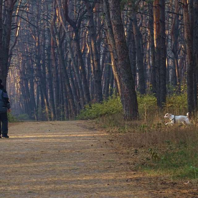 Path. Weather forecasts with beautiful photos by Михаил Гавриков Photos in Kharkiv