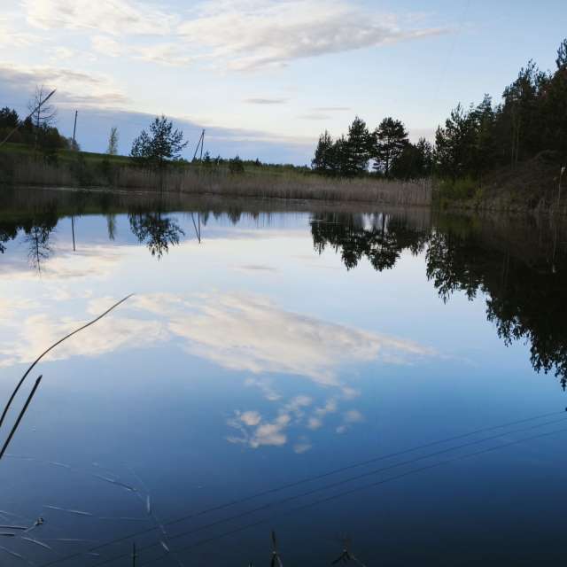 Pond. Weather forecasts with beautiful photos by Valiukas Photos in Lithuania