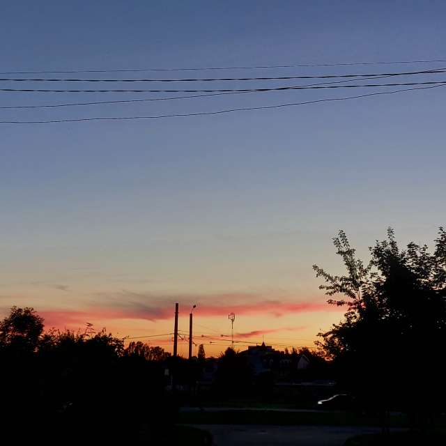 A walk. Weather forecasts with beautiful photos by Iryna Photos in Kharkiv