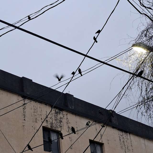 Clock. Weather forecasts with beautiful photos by Yvonne Huang Photos in World