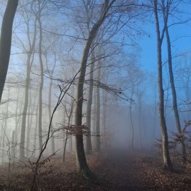 Germany. Weather forecasts with beautiful photos by Wanderstiefel Photos in World