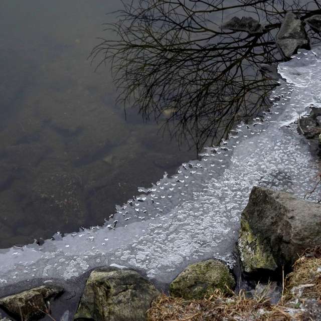 Fotos Gelo. Previsões do tempo com lindas fotos de Vasek325 em Praha 12
