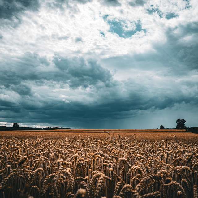 Fotos Clima. Previsões do tempo com lindas fotos de Li-Bro em Kranzberg