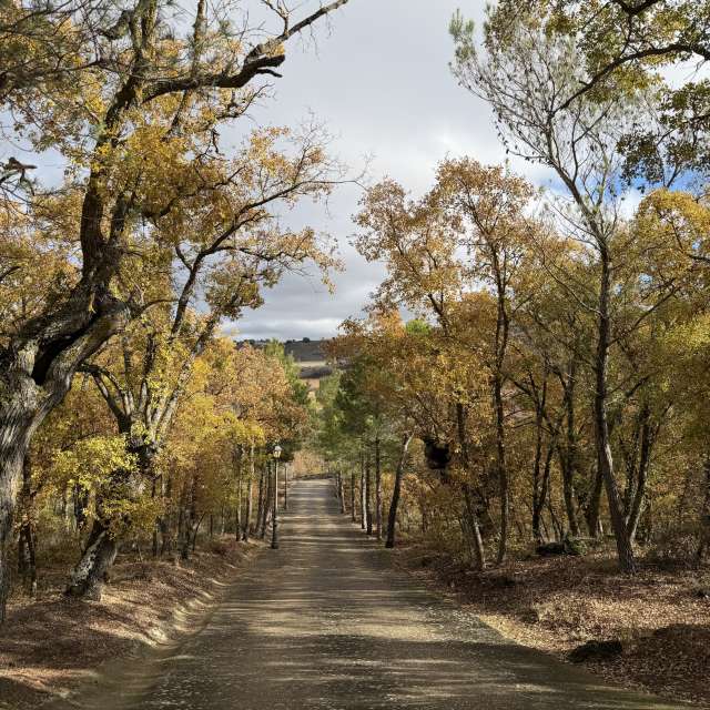 天气预报，带Knopfler83精美的照片