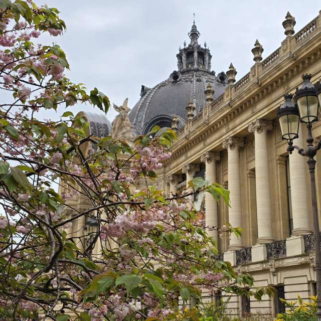 天气预报，带Woosung精美的照片