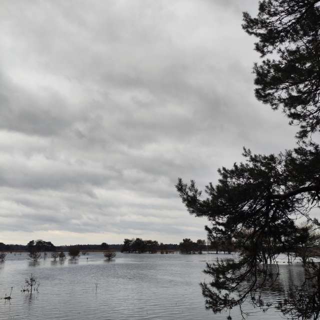 Prévisions météo avec de superbes photos de Rosaja