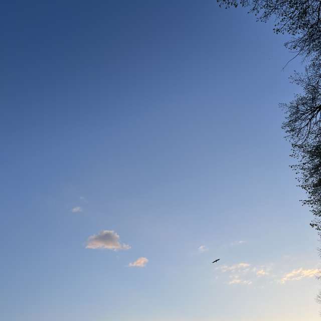 Fotos Grande. Previsões do tempo com lindas fotos de Anna_Sayf em Uzhgorod