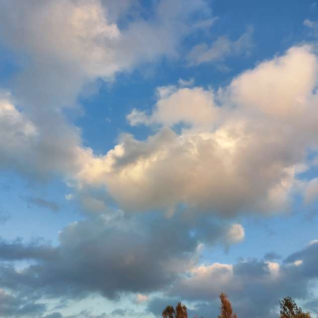 Cloudy. Weather forecasts with beautiful photos by Iryna Photos in Kharkiv